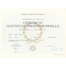 Certificat d'aptitude professionnelle. 