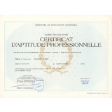 Certificat d'aptitude professionnelle. 