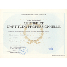 Certificat d'aptitude professionnelle. 