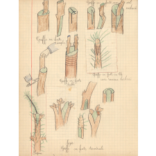 Cours d'horticulture