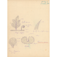 Cours de botanique