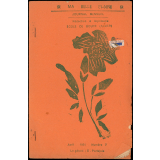 Journal scolaire Freinet. Ma belle plaine. N°7, avril, 1954.