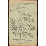 Journal scolaire Freinet. Ma belle plaine. N°4, janvier, 1955.