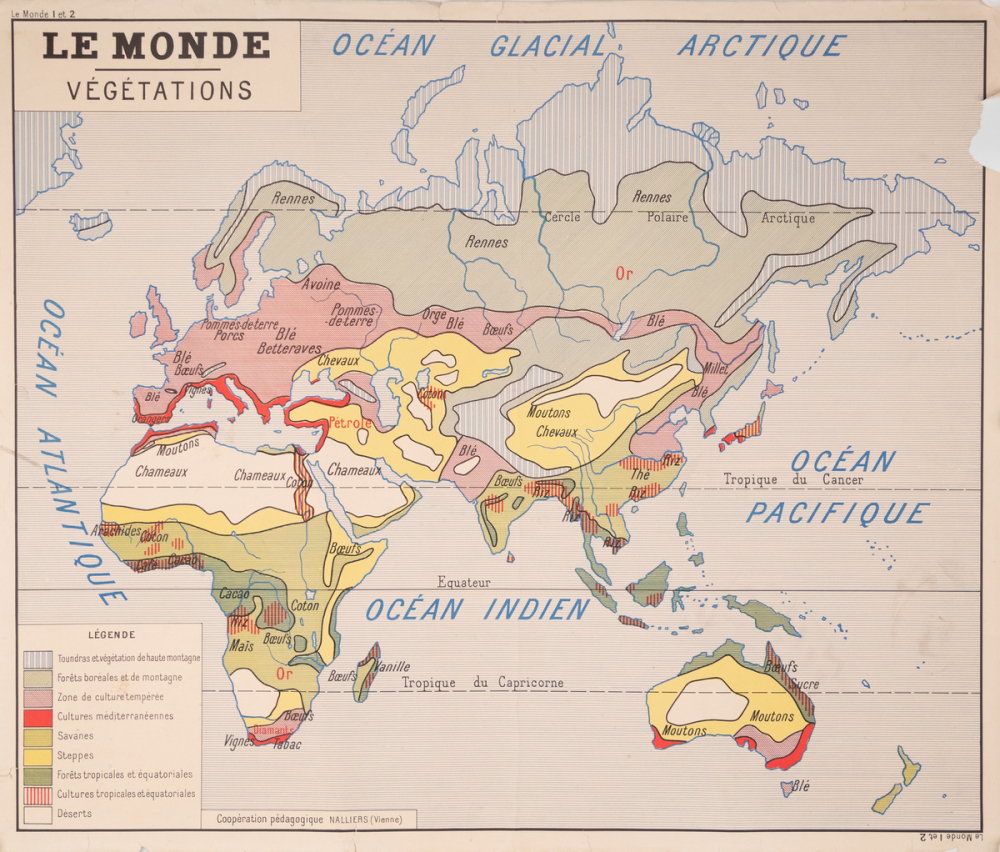 Le monde - Végétations