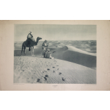 Le désert : le Sahara
