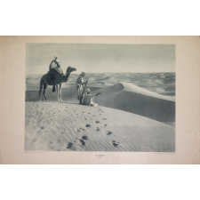 Le désert : le Sahara