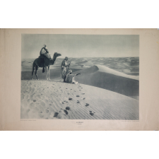 Le désert : le Sahara