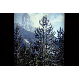 Vue extérieure sur des sapins et une montagne en arrière-plan
