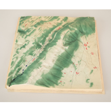 Modèle géographique en relief : environs de Gex