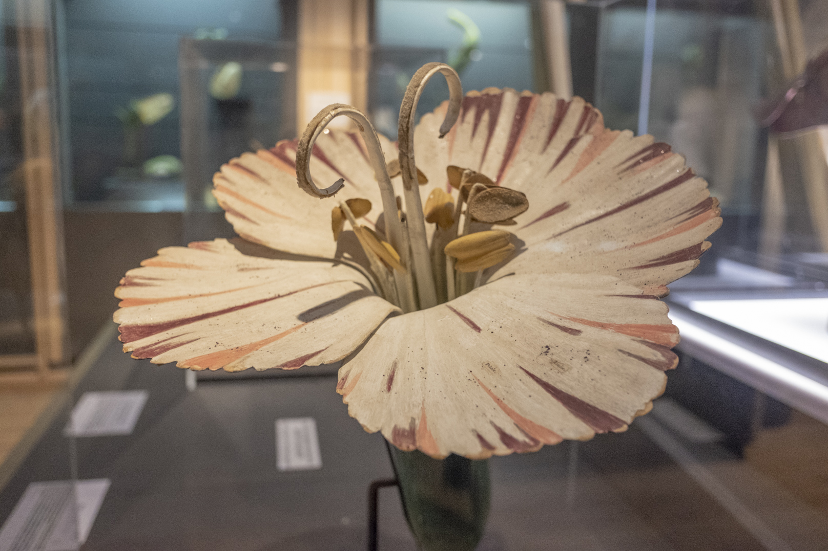 Vue de l'exposition "Belles plantes, modèles en papier mâché du Dr Auzoux"